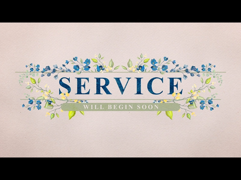 Petite Flower: Service