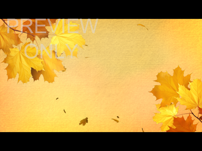 Fall Volume One: Still 04