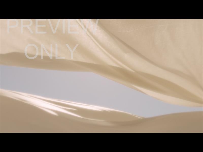 Banner Flow Slide 05