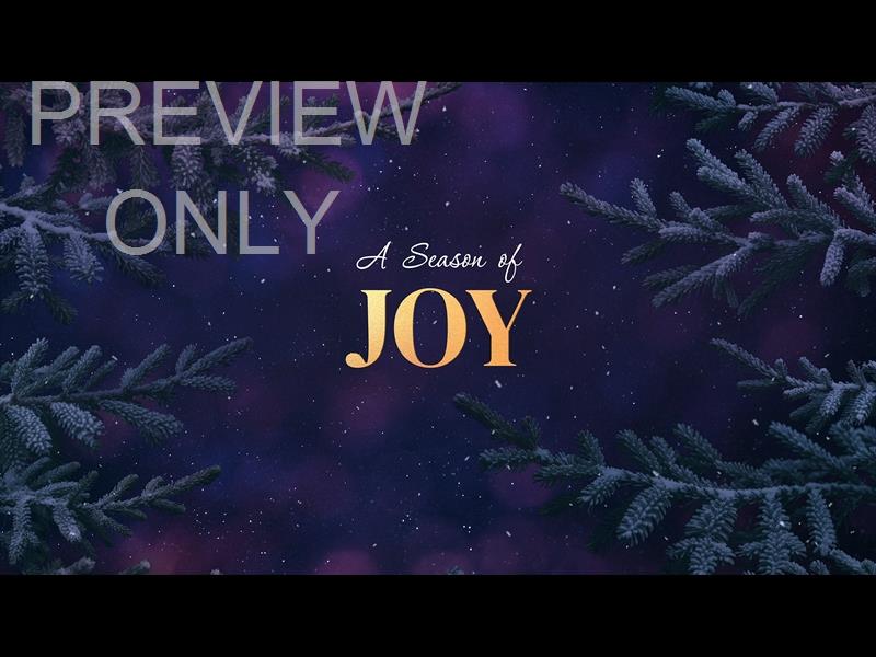 Christmas Wintertide Joy Still