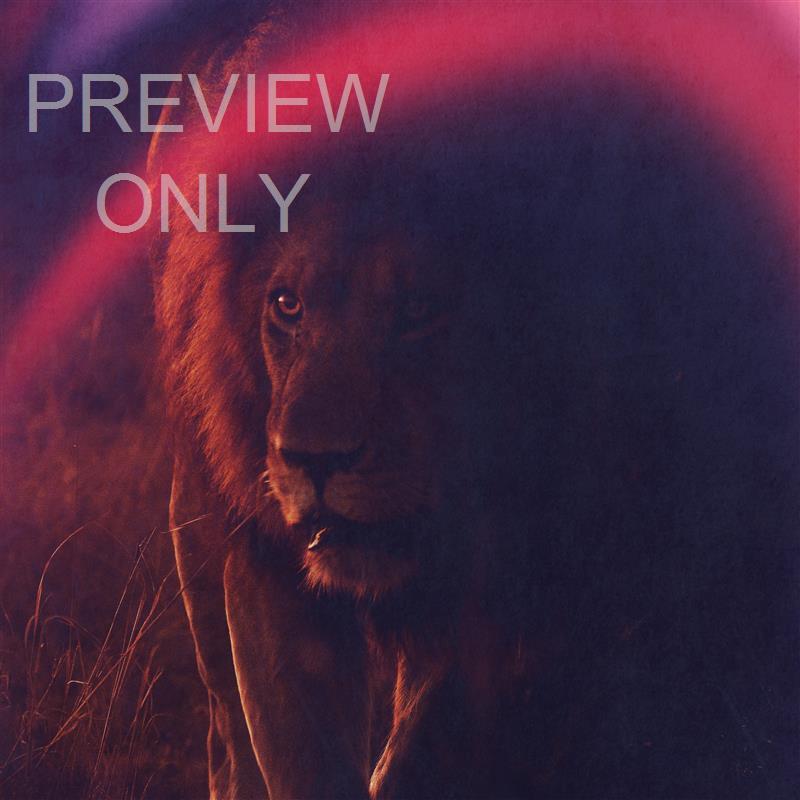 Altered Colors Lion Of Judah Blank