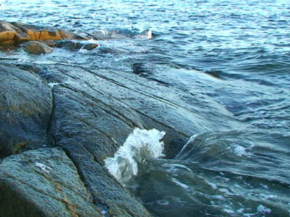 Oceans Edge