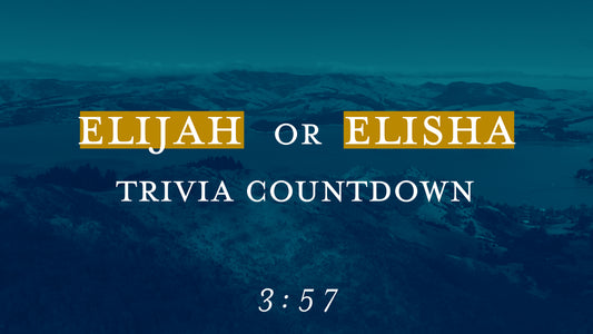 Peaceful Flight Trivia Countdown
