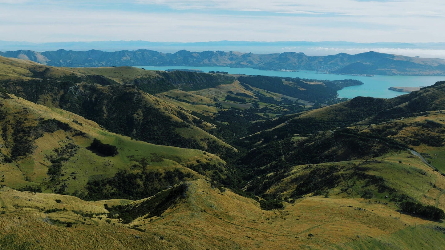 Peaceful Flight 1 Still