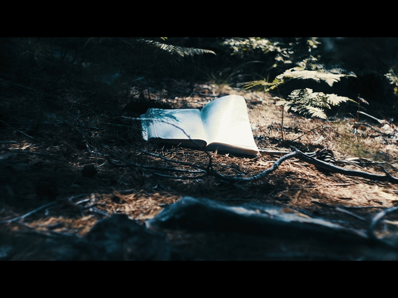 Bible And Crown 3
