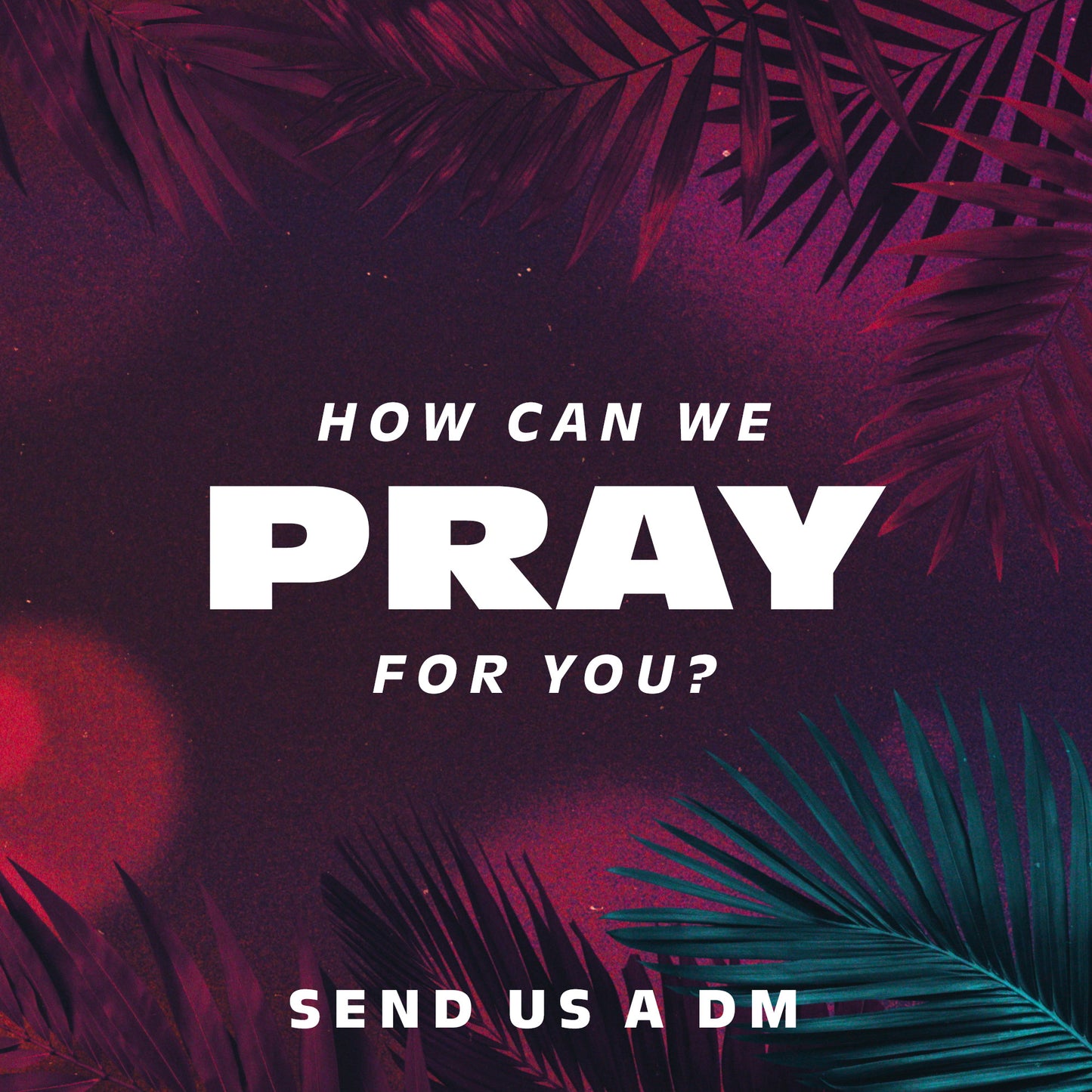 Vibrant Palms Pray