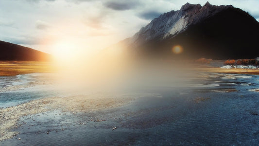 New Beginning Soar Still