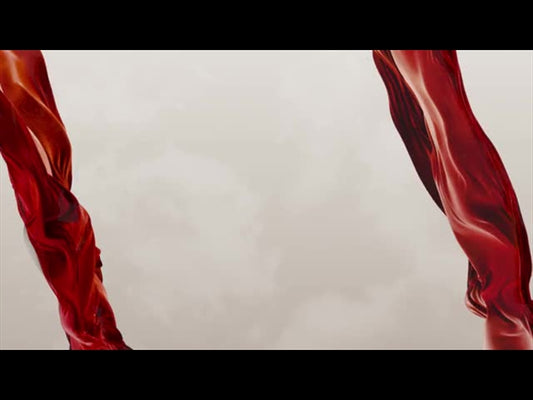 Heaven Came Down Cloth Banners Loop