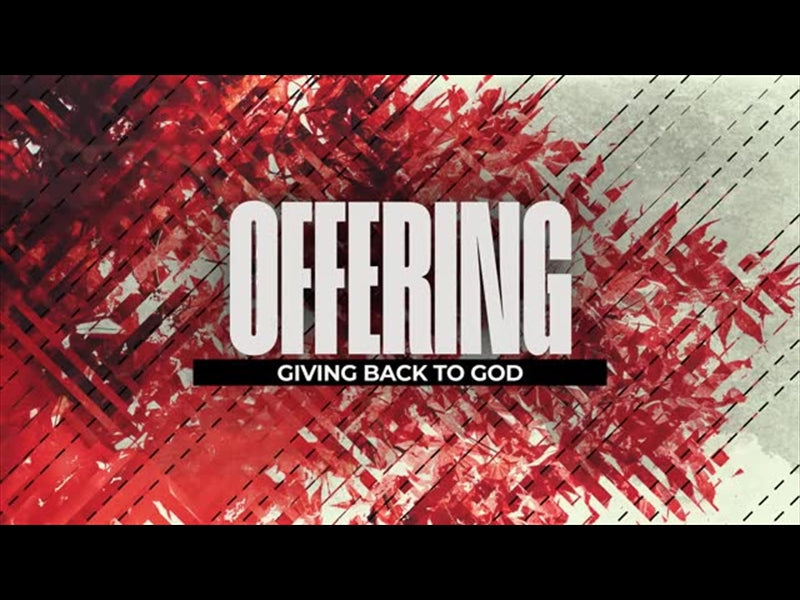 This Autumn Offering