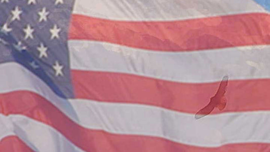 Flag And Eagle