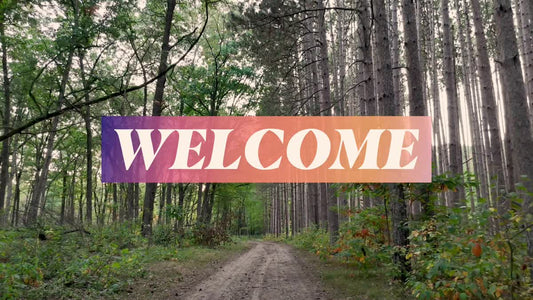 The Forest Welcome Still