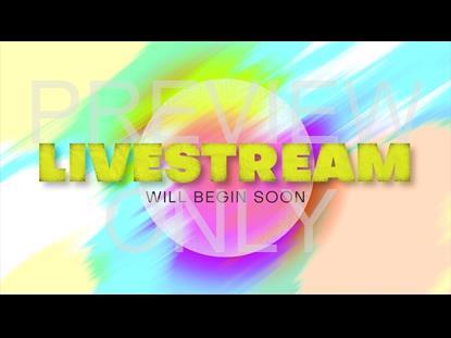 Colorific Easter Livestream Graphic