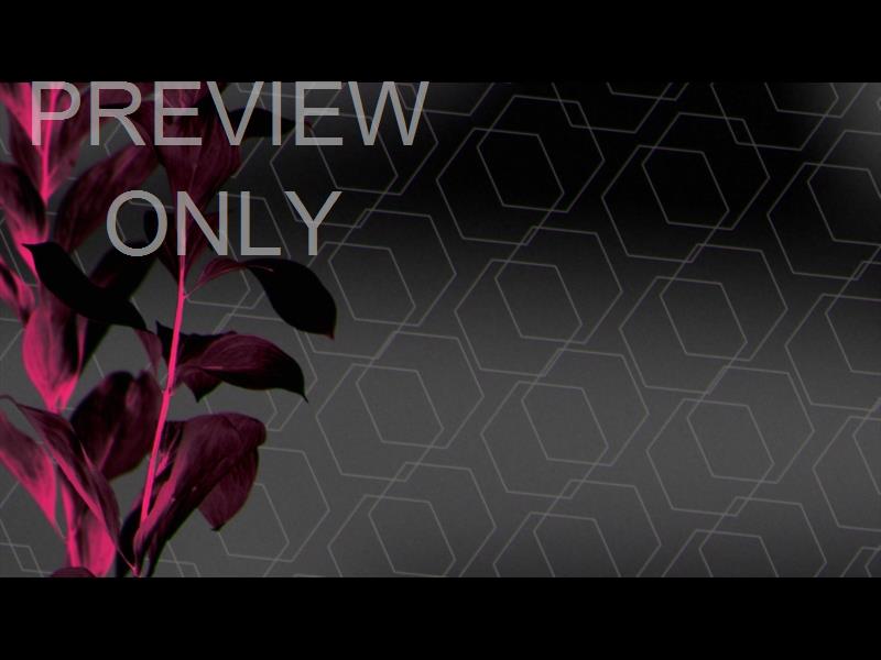 Neon Natro Still 02