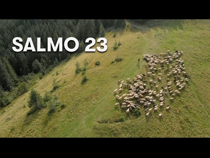 Salmo 23 (El Senor Es Mi Pastor)