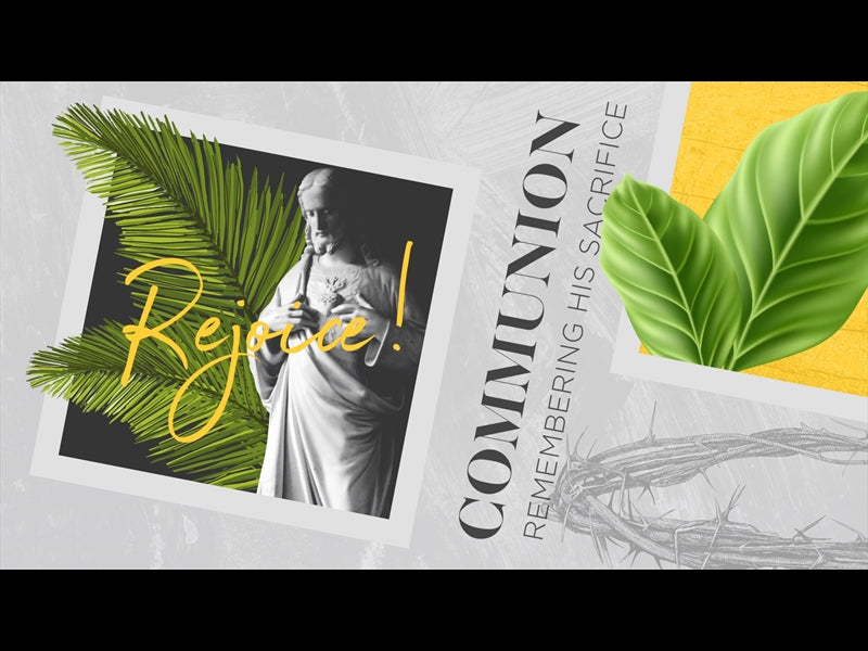 Polaroid Palm Communion