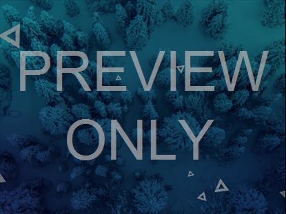 Pristine Snowy Forest Blue Triangles
