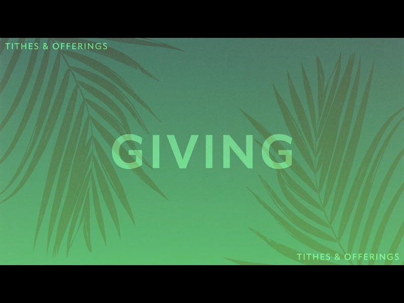 Risen Palms Giving