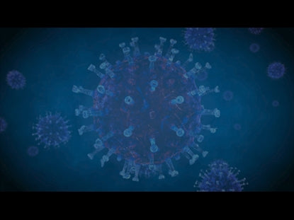 Coronavirus Update Volume One: Teaching Motion 2