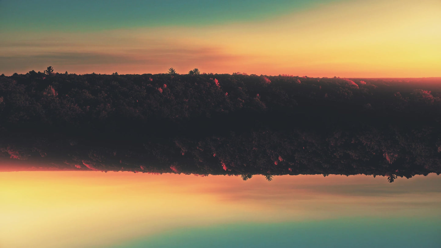 Fall Foliage Remixed 09 Motion