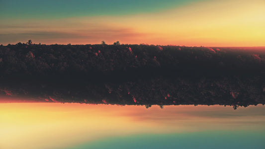 Fall Foliage Remixed 09 Motion