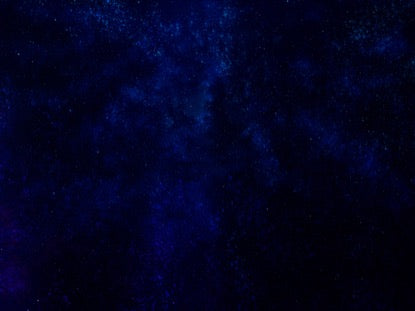 Star Of Bethlehem Plain