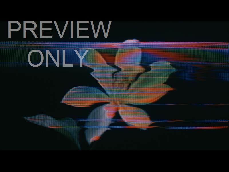 Crt Flowers 12 Still