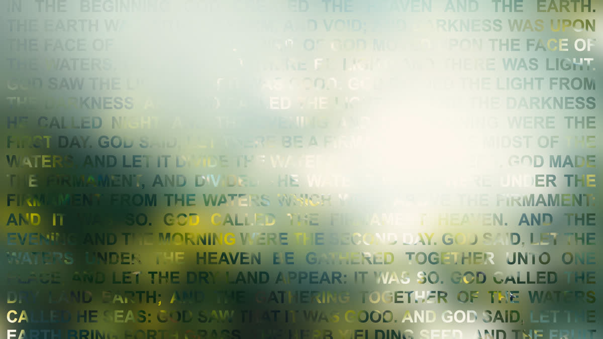 In The Beginning 2c