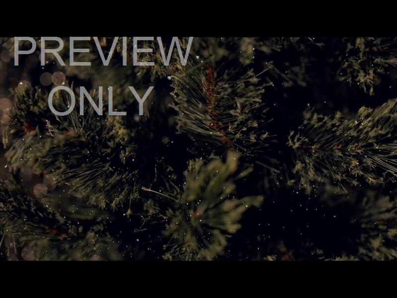 Christmas Tree 8 Still