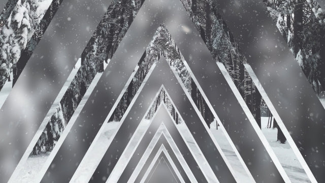 Winter Journey 16