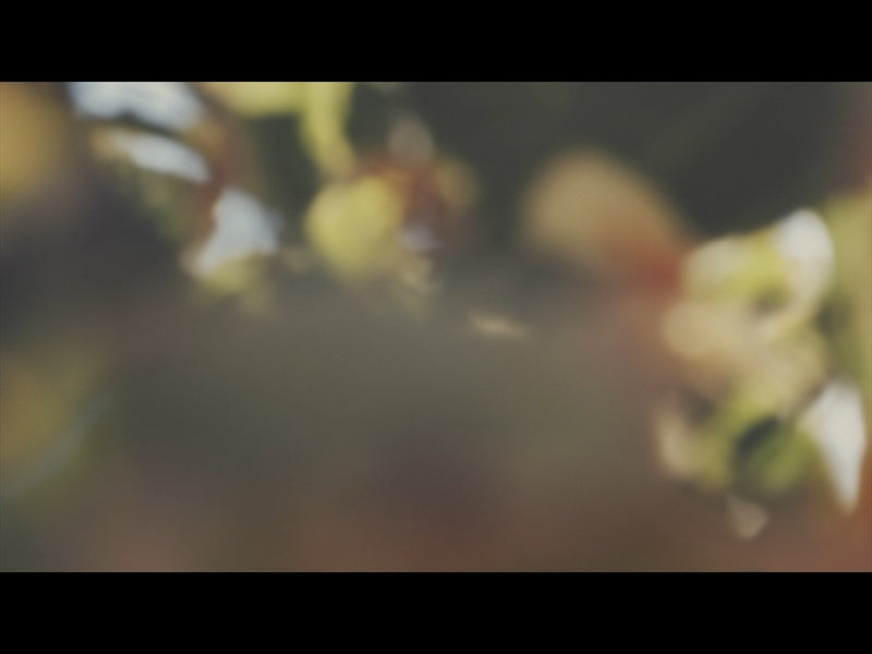 Gardenista Loop 08