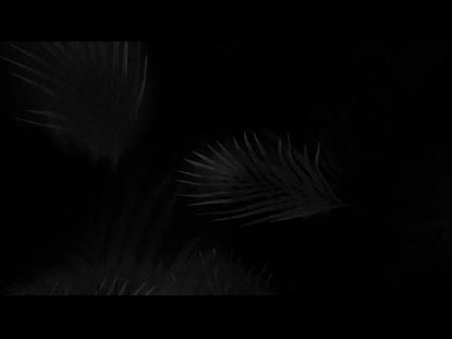 Palm Sunday Collection 13