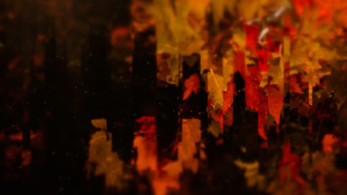 Autumns End 5