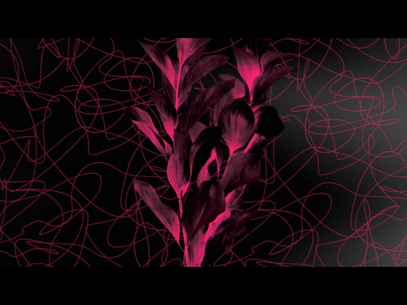 Neon Natro Loop 07