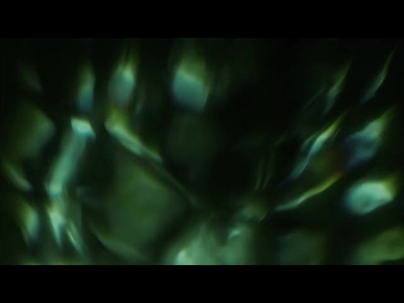 Caustics 6