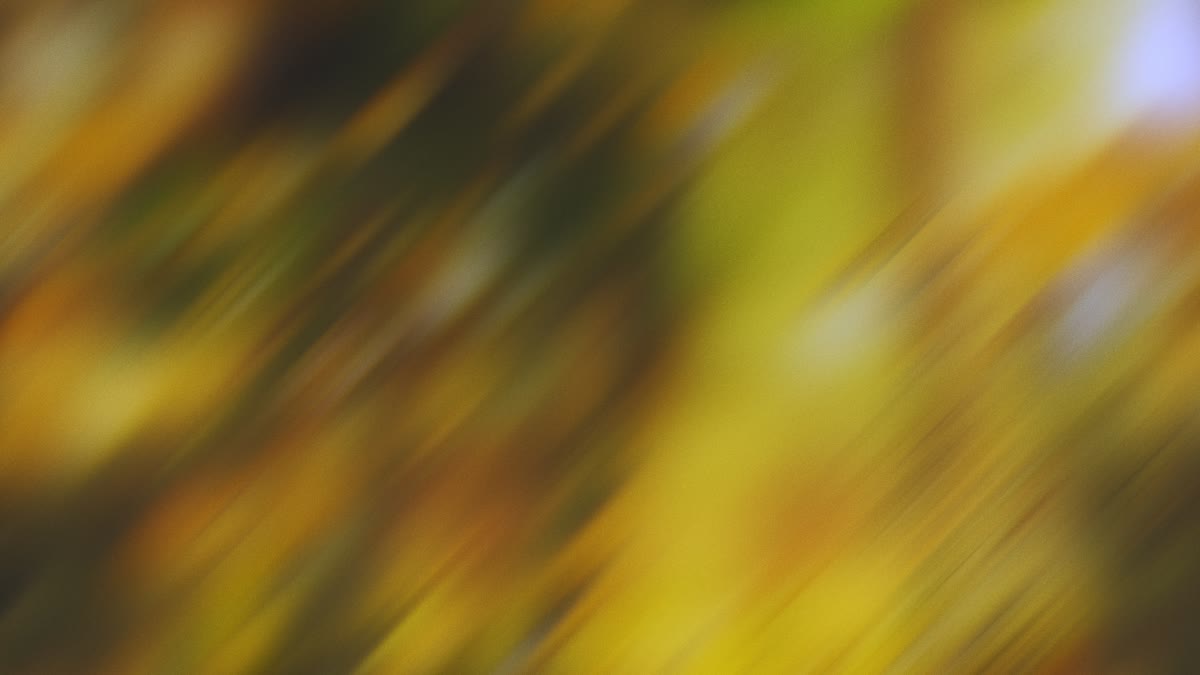 Springtime Bloom 6