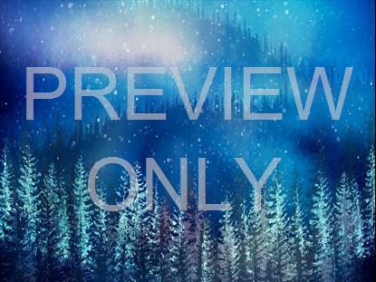 Christmas Woods 8 Still