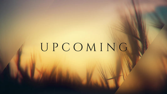 Days End Upcoming Still