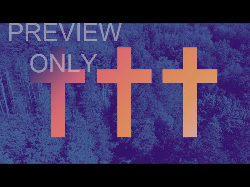 The Forest Grow In Grace Sermon Title 4