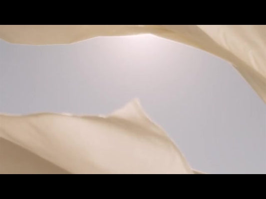 Banner Flow Motion 05