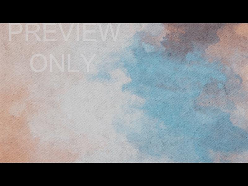 Summer Canvas Still 01