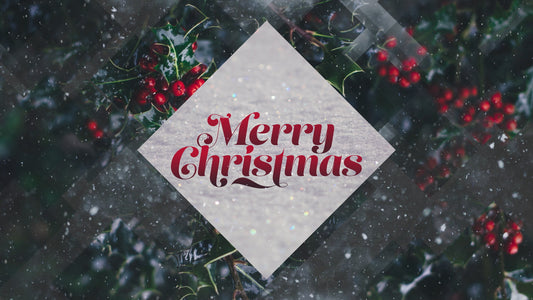 Winter Journey Merry Christmas Still