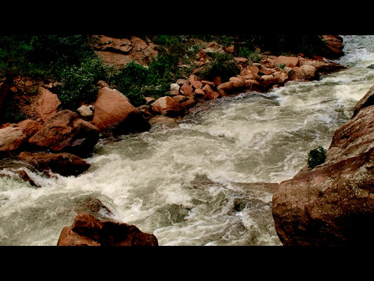 El Dorado Motion 19