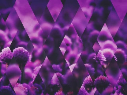 Spring Shift Purple Full
