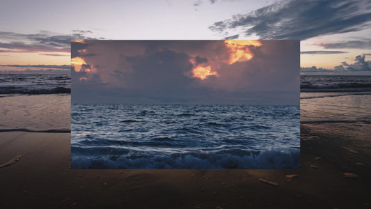 Spring Nature Motion 17