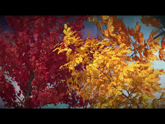 Seasonal Vibes: Fall Edition Motion 3