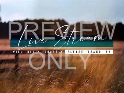 Amber Fields Live Stream Still