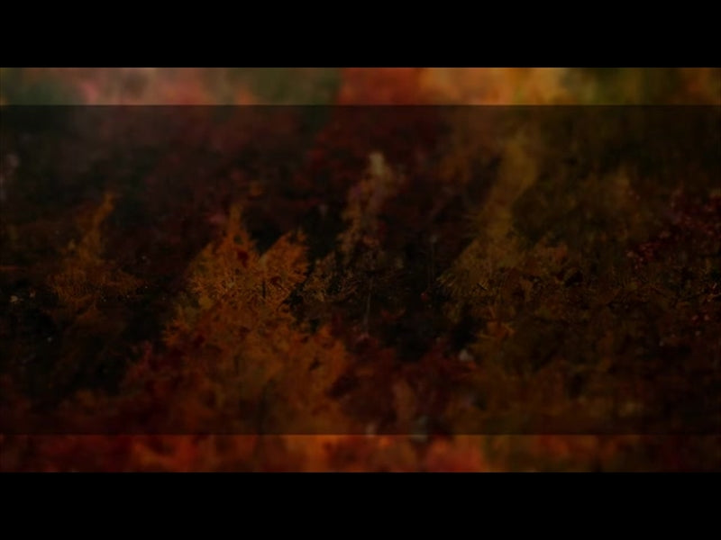 Autumns End 4 Alt