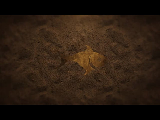 Color Fish Loop: The Gospel According To Peter