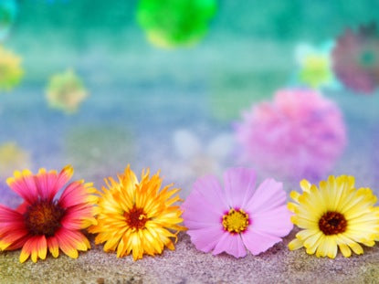 Floating Flowers