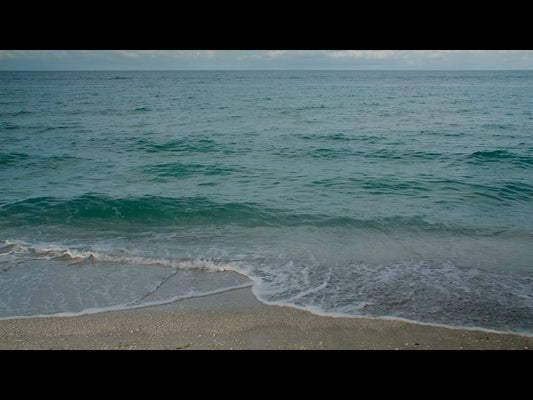 Sunset Beach 8 Motion